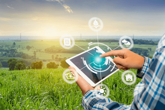 Internet Rural 4G